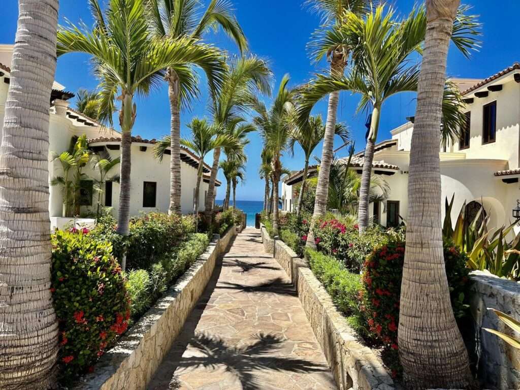 Condo Zen Living, San Jose del Cabo, San Jose del Cabo, BS | San Jose del Cabo For Sale