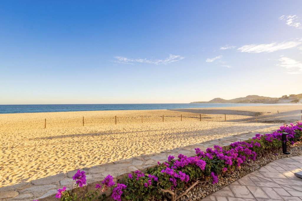 El Zalate 2 103, San Jose del Cabo, San Jose del Cabo, BS | San Jose del Cabo For Sale