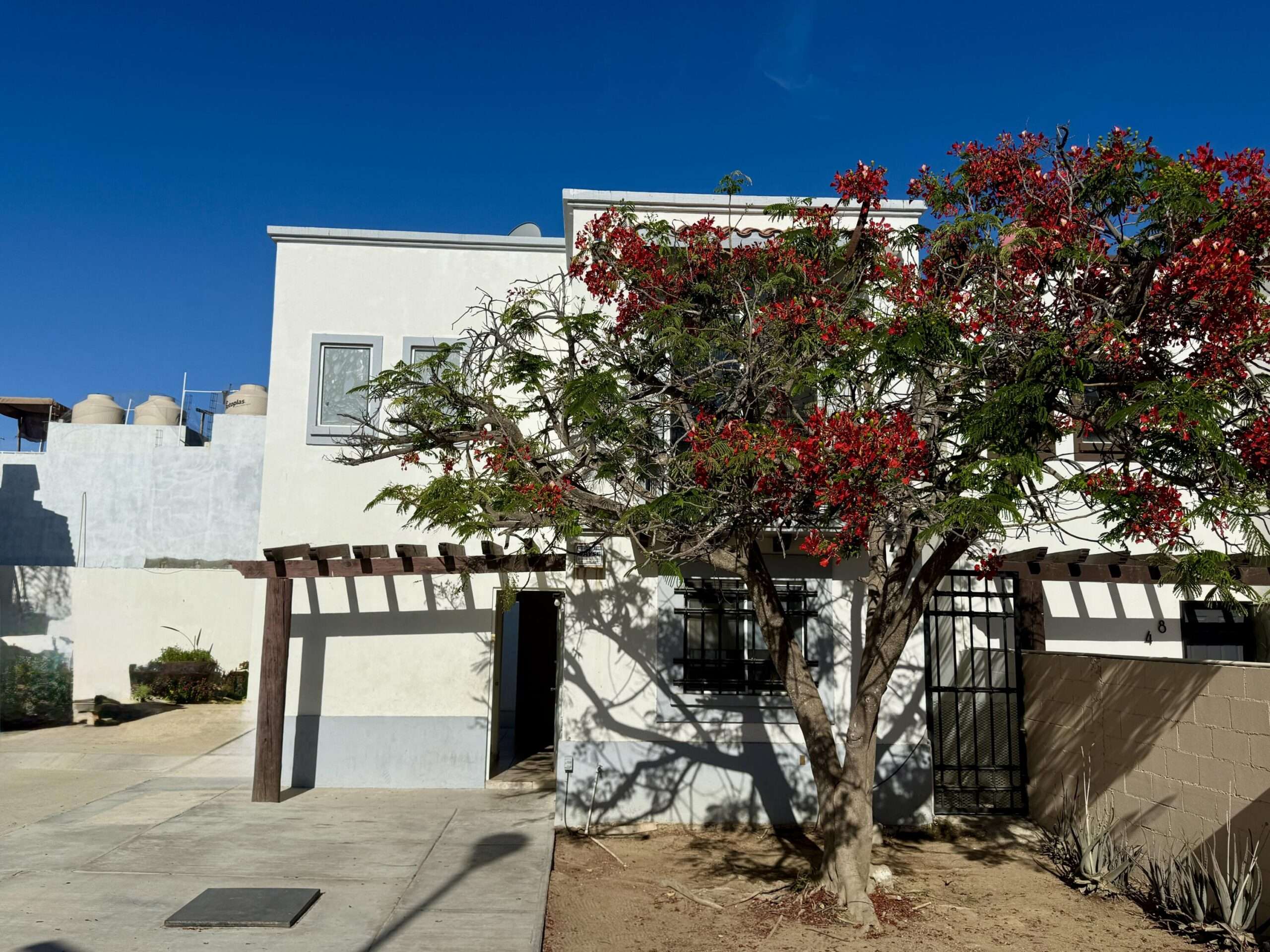 San Jose del Cabo Magisterial |SEP| – 3 Malvarrosa, San Jose del Cabo, BS